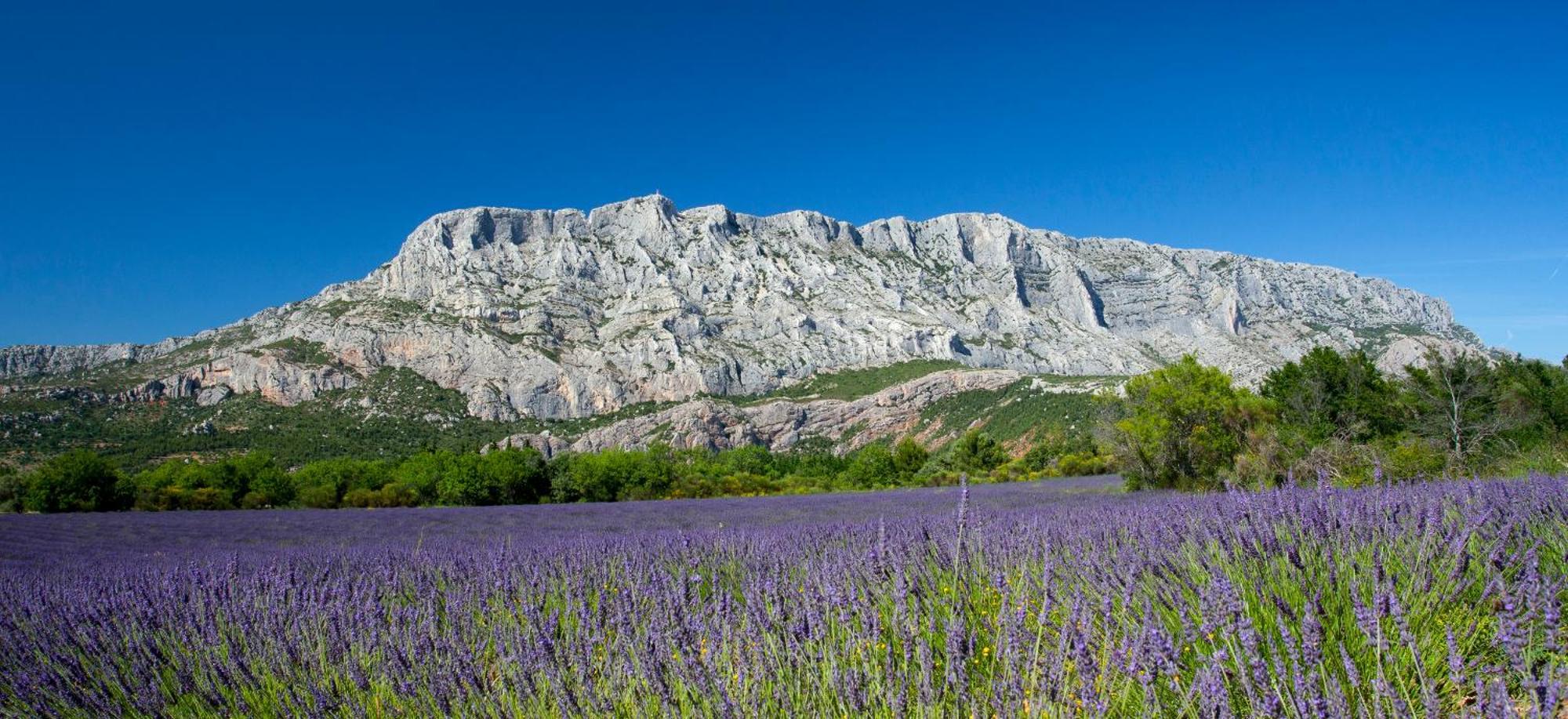 Roucas - Sud Passion - Calme - Fibre Marselha Exterior foto